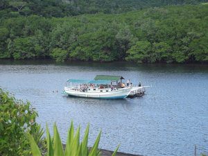 Cinco passeios para curtir durante o verão