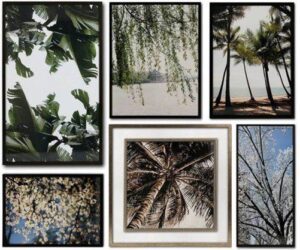 Una os seus melhores momentos em uma gallery wall
