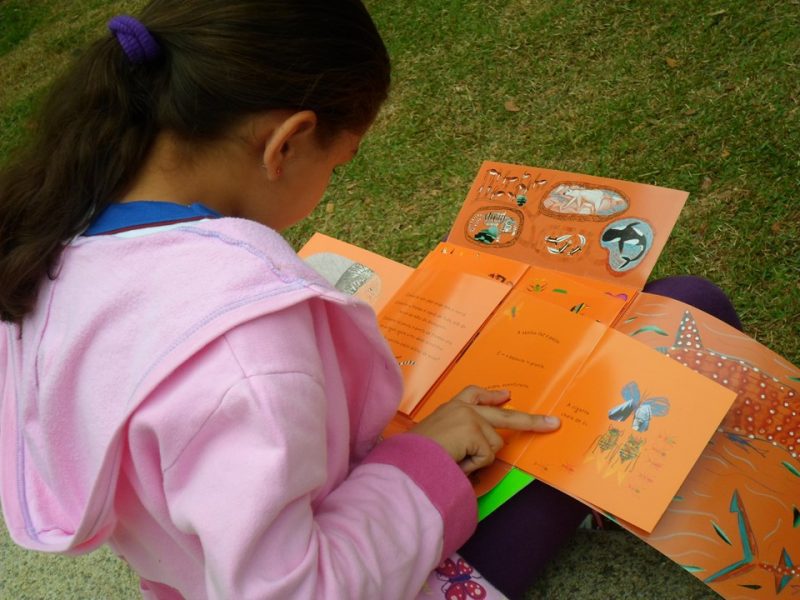 Livro infantil