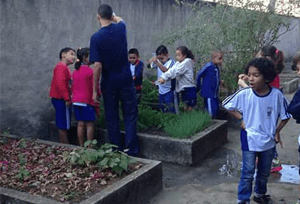 Inovação e sustentabilidade se aprende na escola