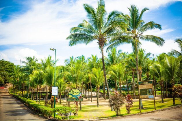 Parque da Fazendinha