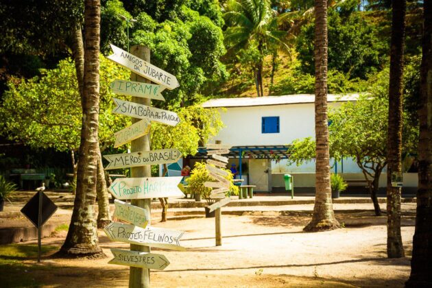 Parque da Fazendinha