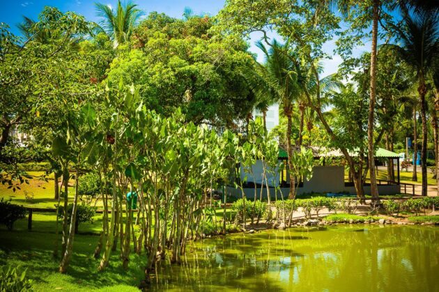 Parque da Fazendinha