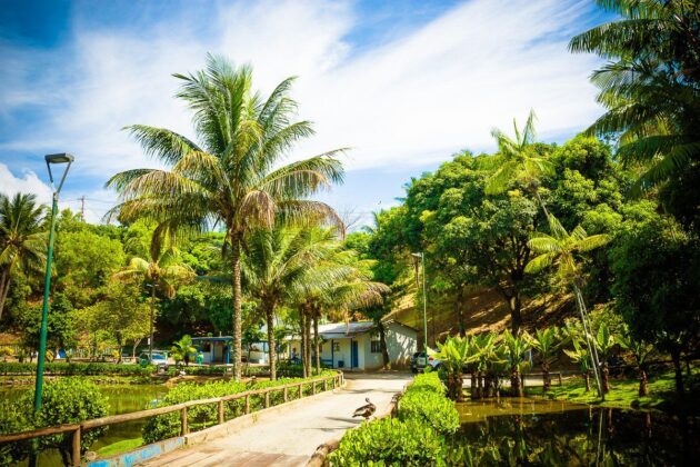 Parque da Fazendinha