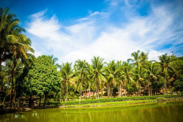 Parque da Fazendinha