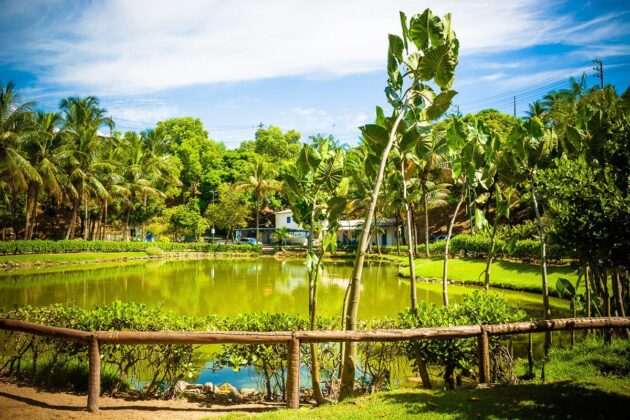 Parque da Fazendinha