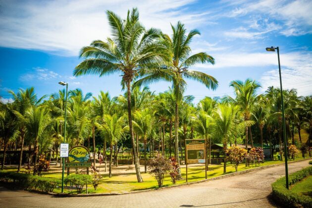 Parque da Fazendinha