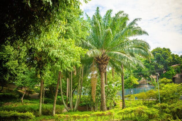 Parque Barreiros