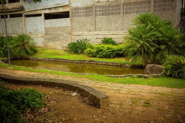 Parque Barreiros
