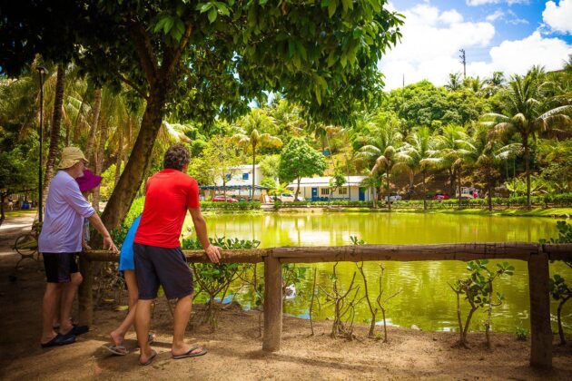 Parque da Fazendinha