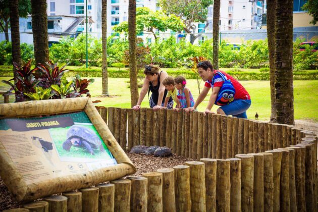 Parque da Fazendinha