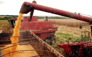 Usar resíduos de rochas na agropecuária é possível. Conheça o protocolo!