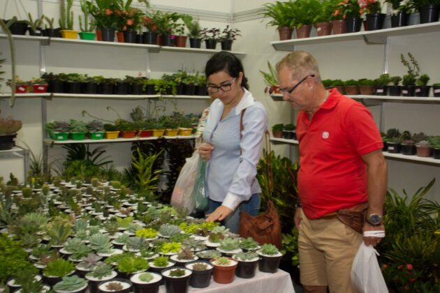 12ª Feira Sabores da Terra