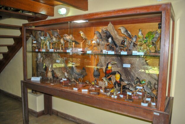 Natureza e aventura em um único lugar