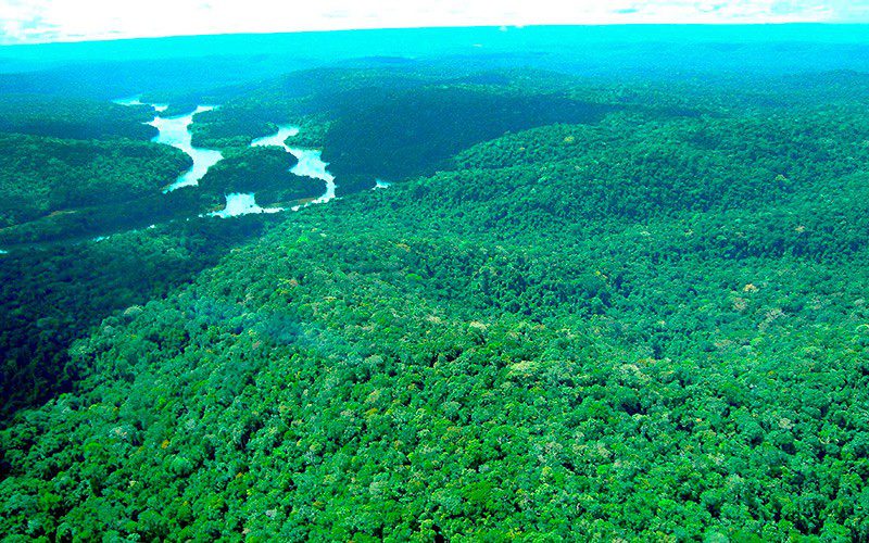 Floresta Amazônica: É hora de parar de brincar com o futuro!