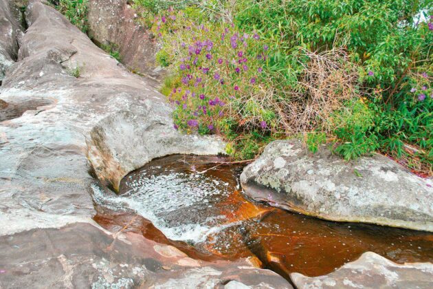 Natureza e aventura em um único lugar