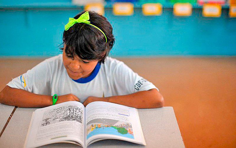 Os responsáveis pelas escolas públicas têm até 31 de outubro para conferir, complementar e, se for necessário, corrigir as informações publicadas nos dados preliminares divulgados pelo MEC do Censo Escolar 2020