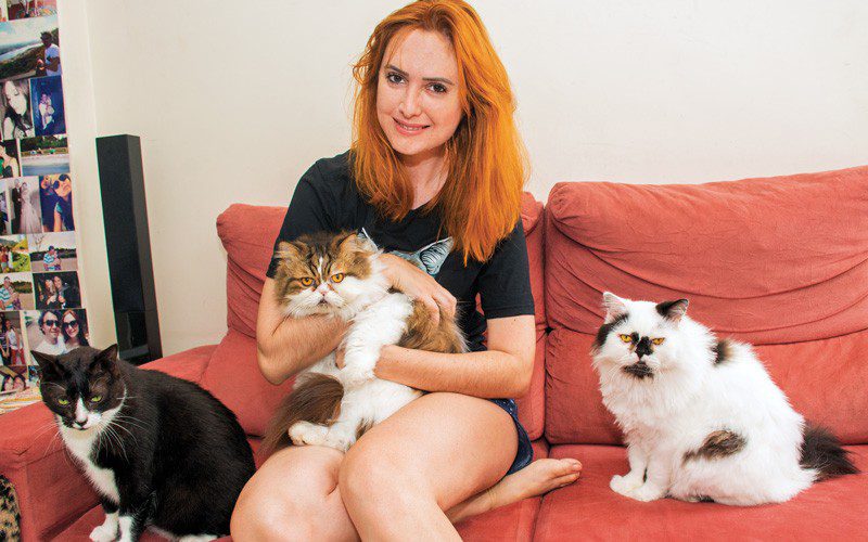 Pet, negócios, economia.