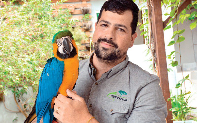 Pet, negócios, economia