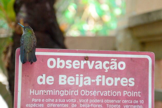 Um legado de viveiros, com animais diversos e edificações históricas