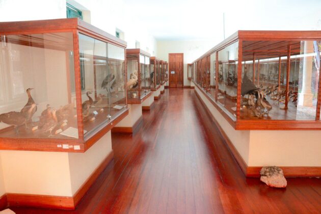 Um legado de viveiros, com animais diversos e edificações históricas