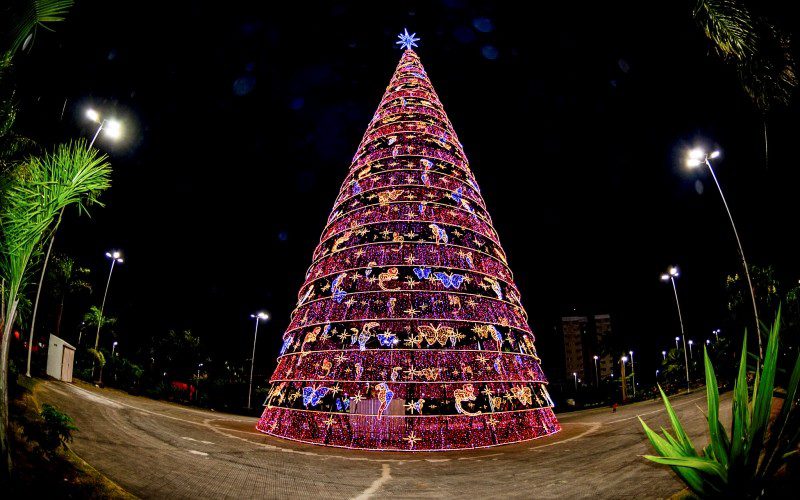 Árvore de Natal no parque da Cidade, na Serra