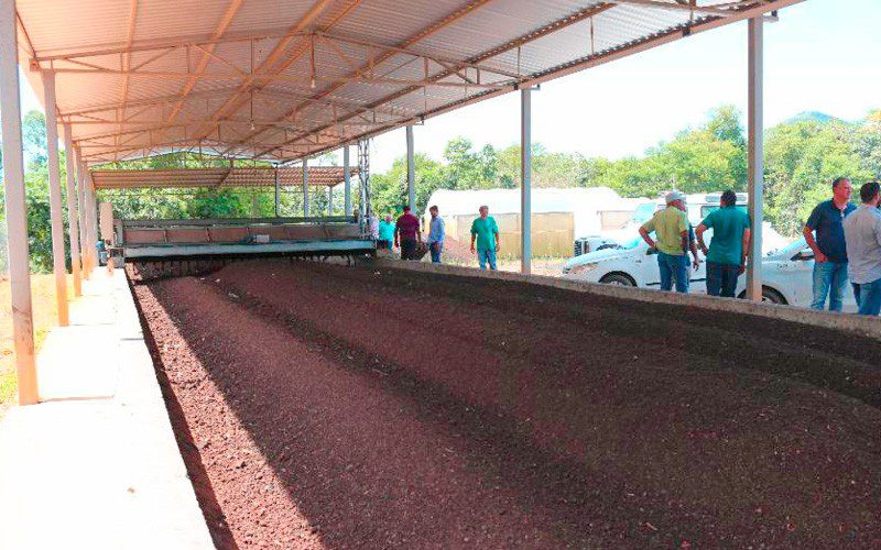 Usina de Compostagem: produção de adubo orgânico chega a 800 toneladas