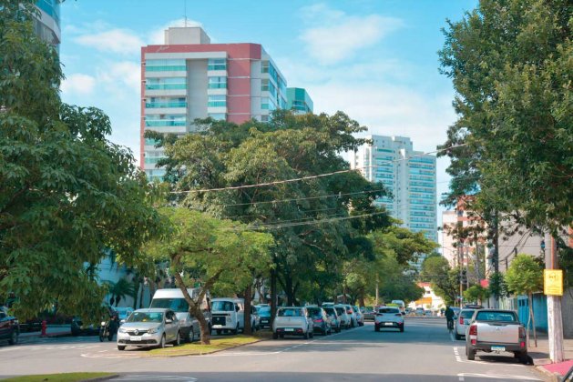 Conheça a história da Avenida Carlos Moreira Lima