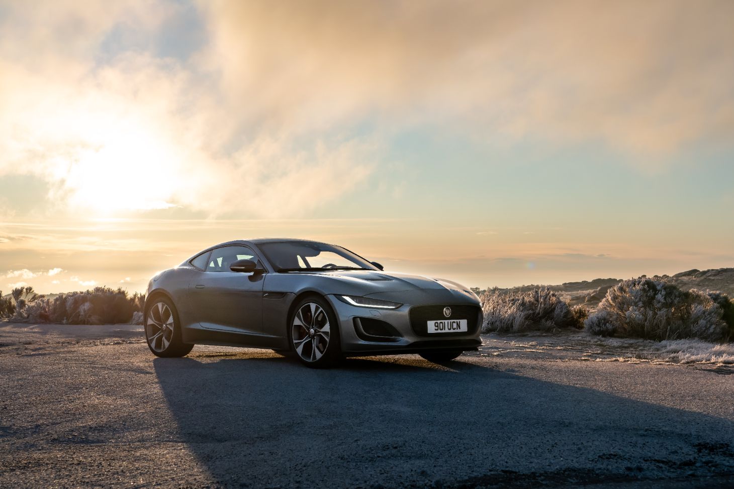 Jaguar