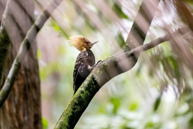 Parque da Fonte Grande lança mostra de fotografias produzidas por visitantes
