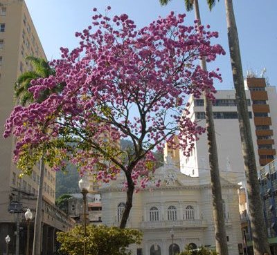 Dia do Patrimônio Histórico: mergulhe na cultura capixaba