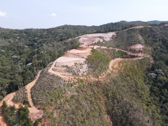 Instituto flagra desmatamento ilegal próximo ao Parque Pedra Azul