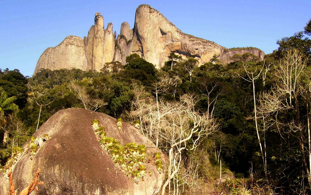pontões