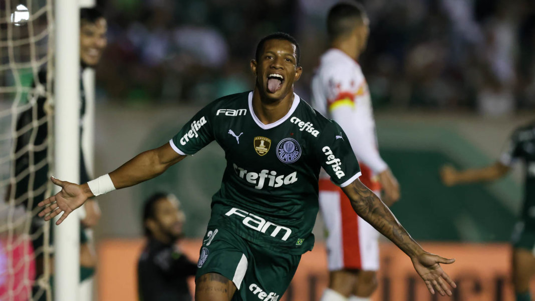 Foto_Danilo_Palmeiras_Revista_ES_Brasil