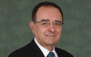 crescimento em um ano