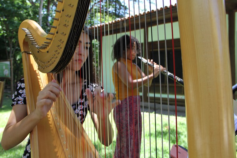 A Orquestra Sinfônica do Espírito Santo fará apresentação só com obras de mulheres
