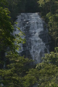 Afonso Cláudio, a capital estadual da biodiversidade