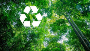 Energias Renováveis: essencial para a sustentabilidade e para uma nova economia