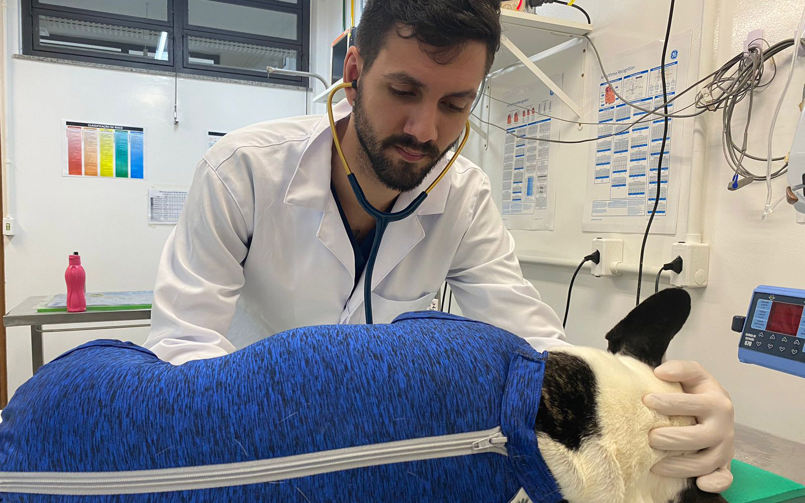 Veja como os animais se contaminam e como é realizado o tratamento da doença