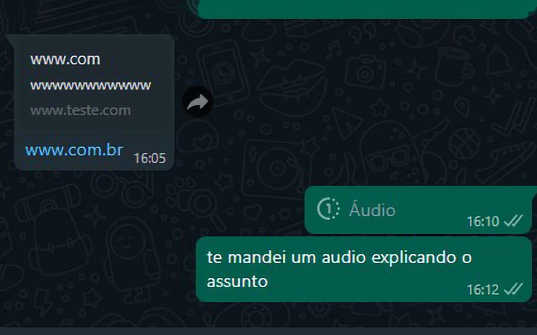 Recurso permite que os usuários enviem mensagens de áudio que não podem ser salvas e encaminhadas para outros contatos