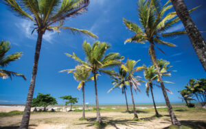 Praia de Guaxindiba, em Conceição da Barra. Foto: Vitor Jubini/Mtur