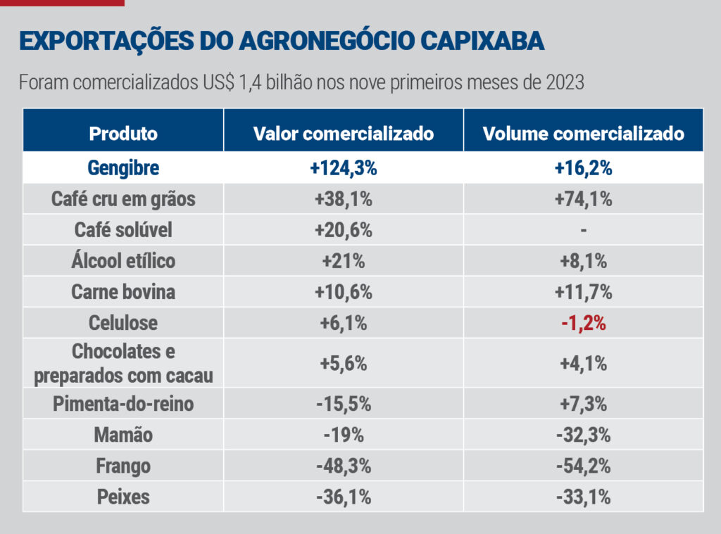 Gengibre, a nova estrela do agronegócio capixaba