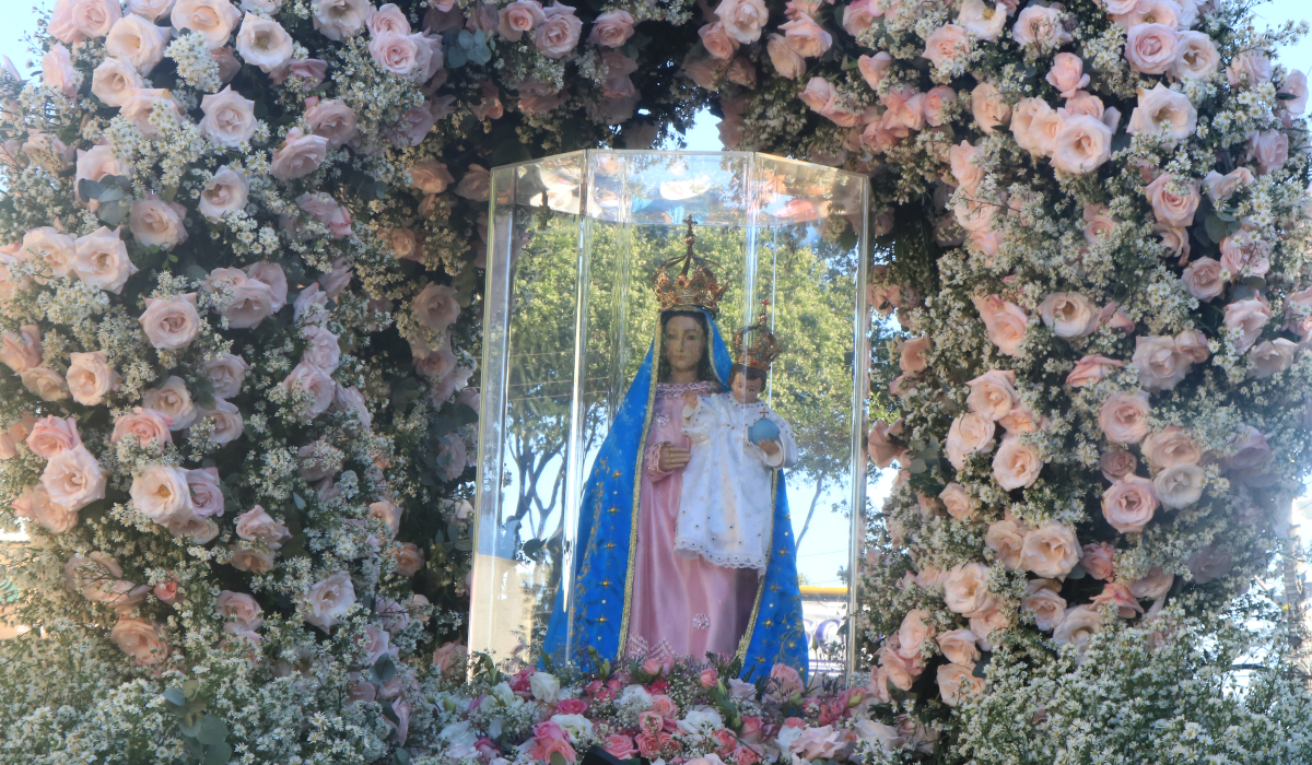 Festa da Penha: organização pede que mulheres levem flores à romaria