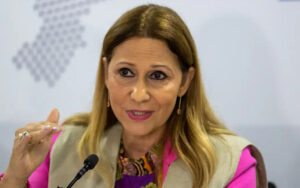 Secretária de Vigilância em Saúde e Ambiente do Ministério da Saúde, Ethel Maciel