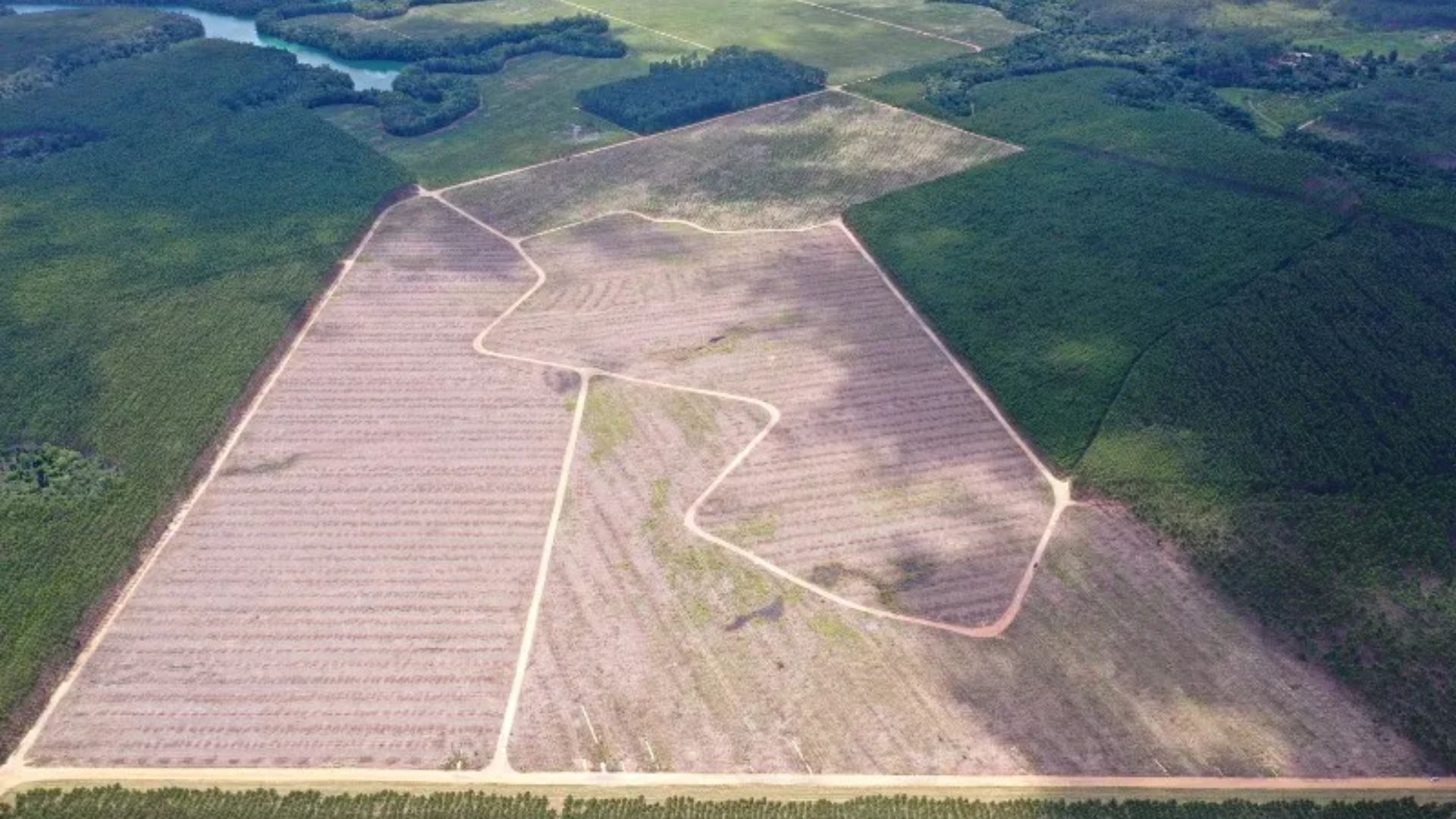 Área da Zona de Processamento de Exportação Aracruz, que terá administração da Imetame. Foto: Divulgação