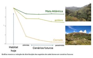 40 espécies de mamíferos estão em risco de extinção no futuro