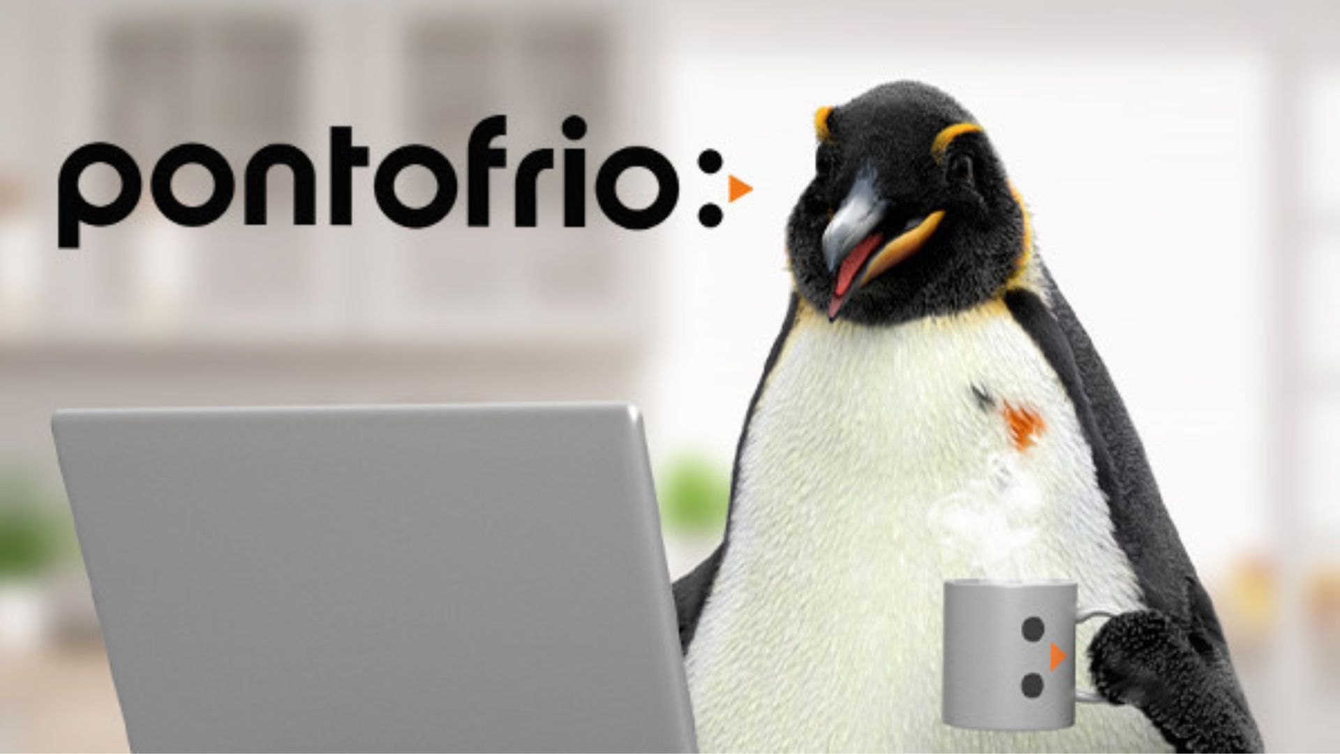 Ponto volta a ser Pontofrio. Foto: Instagram/@pontofrio
