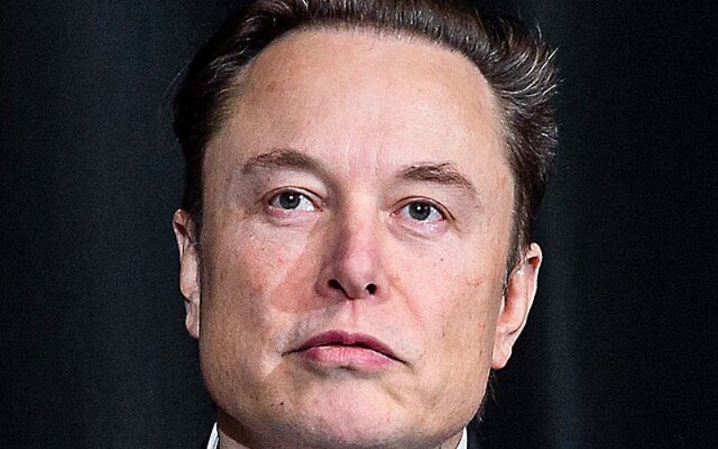 elon_musk_moraes_ditador