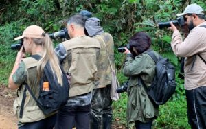 reserva_águia_branca_observação_pássaros