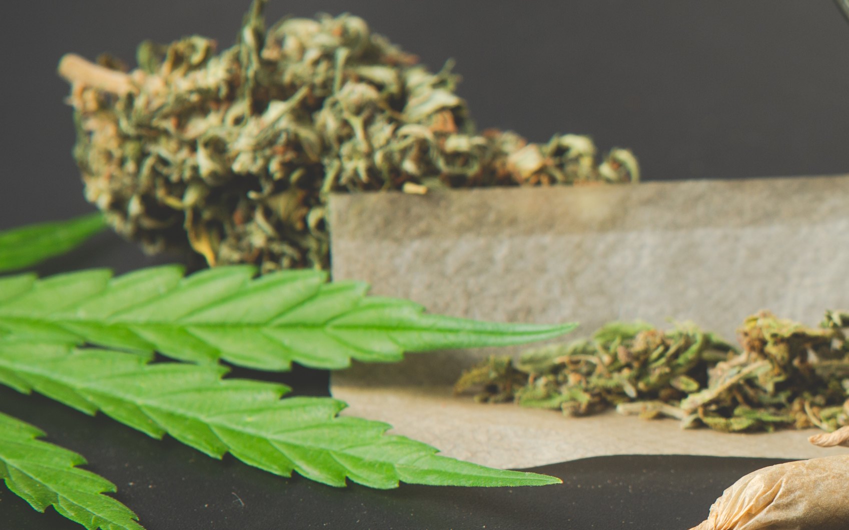 quantidade_usuário_maconha_stf